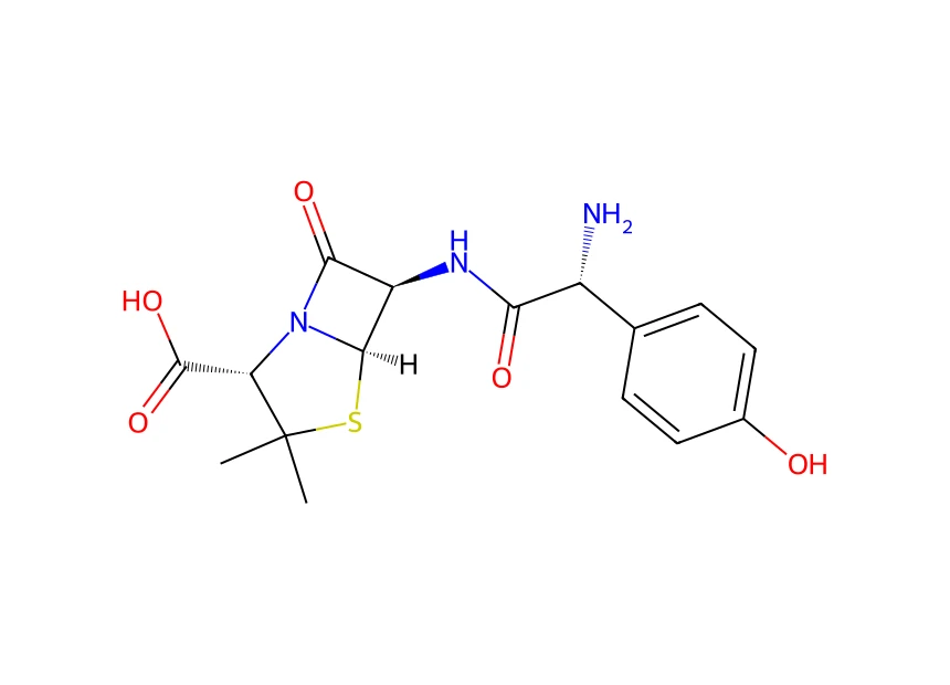 Amoxicilline : son β-lactame (cycle à 4 accolé au soufre) est son point faible